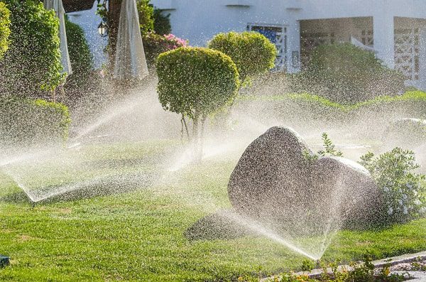 An array of sprinklers water a green lawn.