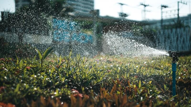 A sprinkler watering a lawn